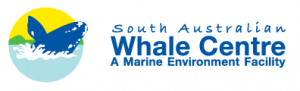 South Australian Whale Centre - Accommodation Brunswick Heads