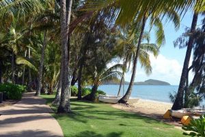 Palm Cove Clifton Beach Kewarra Beach to/from Cairns - Accommodation Brunswick Heads