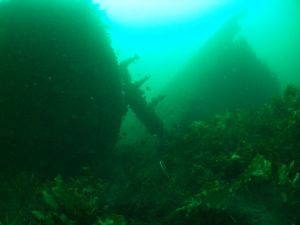 Investigator Strait Shipwreck Trail - Accommodation Brunswick Heads