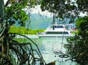 Cairns Harbour Cruises - Accommodation Brunswick Heads